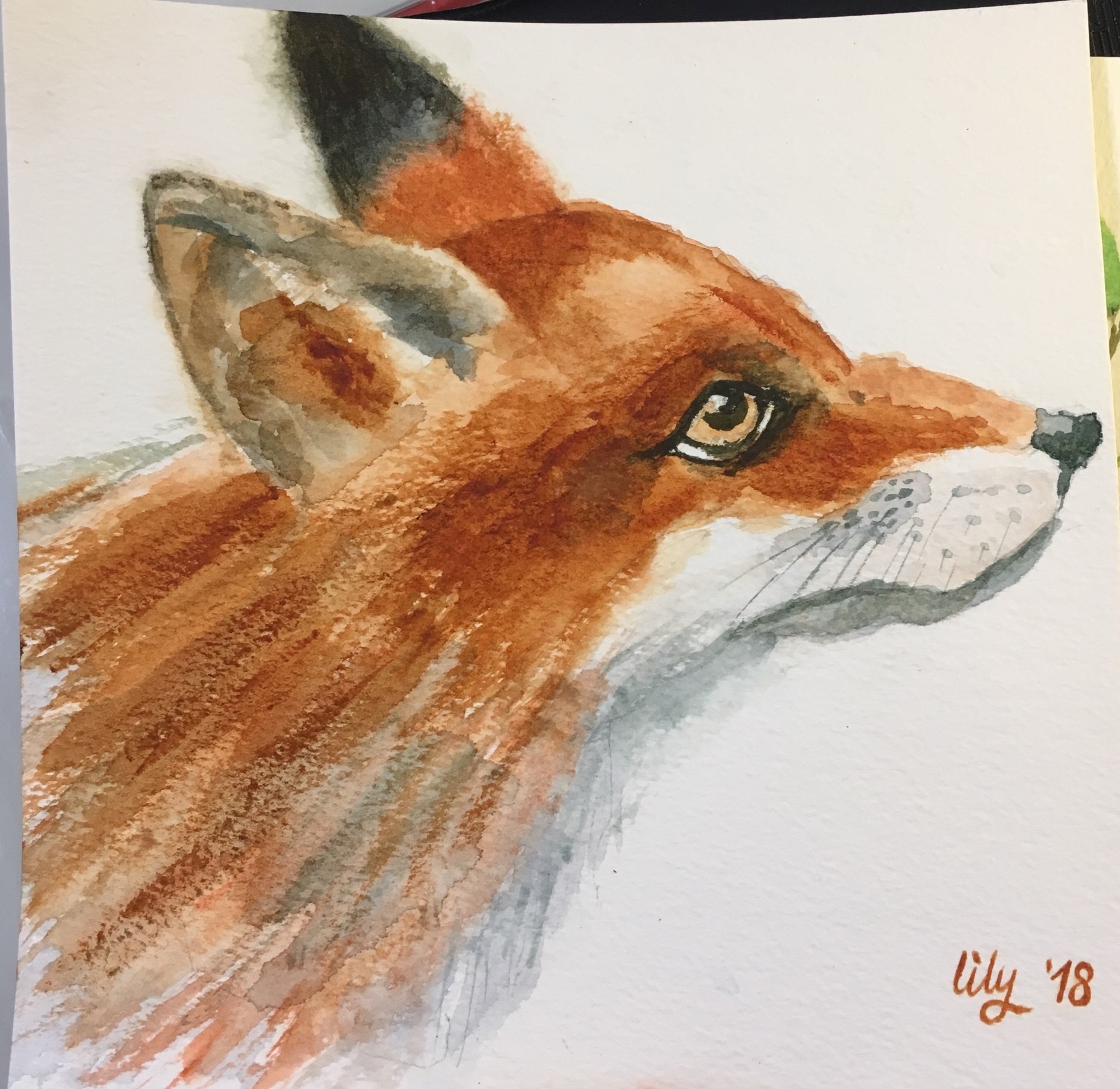 let's make art fox